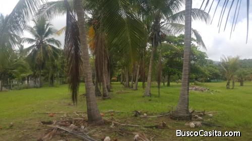 V#683 Terreno en Venta en Playa Coyote Costa de Oro/Guanacaste.