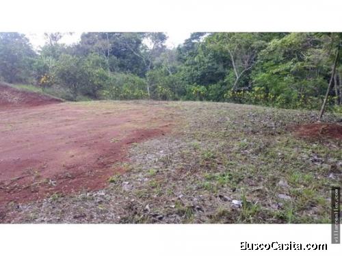 V#421 Còmodo Lote de Venta en Guanacaste/Nandayure 