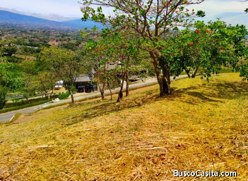 Lote en Naranjo 2.5 kilometros del peaje