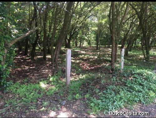 V#631  Lote en Venta en Playa Negra / Guanacaste.