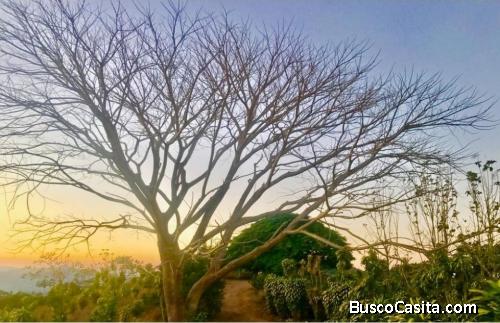 V#584 Espectacular Finca en Venta en Nandayure / Guanacaste