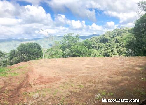 V#539 Hermoso Lote en Venta en Nosara.