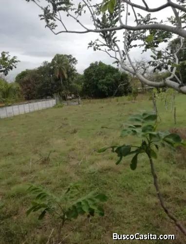 V#469 Gran Terreno en Venta en Filadelfia.