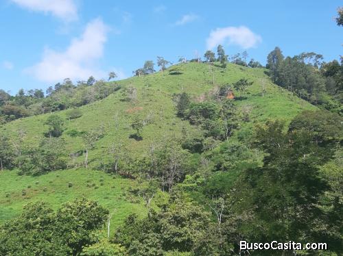 V#450 Amplia Finca de Venta en  Nandayure/ Guanacaste