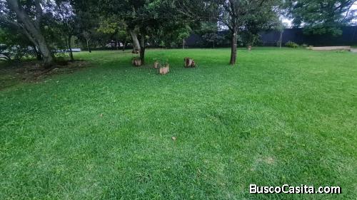 Se vende lote de 750m2 en Alajuela.