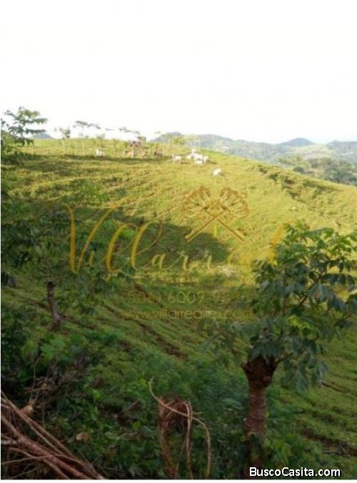 V#365 FINCA A LA VENTA EN BELLA VISTA NANDAYURE  GUANACASTE.