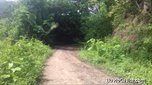 V#208 Bella finca en VentaGuanacaste