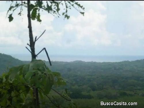 V#205 Amplia Finca en VentaGuanacaste