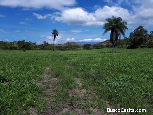 V#207 Grandiosa Finca en VentaGuanacaste
