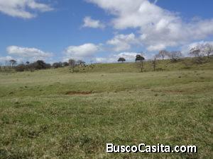 V#210 Maravillosa Finca en VentaGuanacaste
