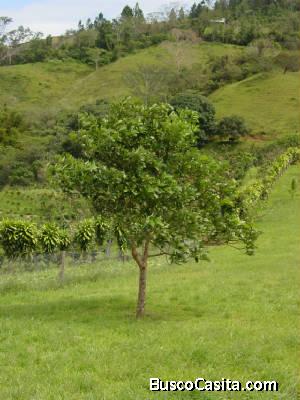  V#722  Venta de Finca en Nandayure, Guanacaste.