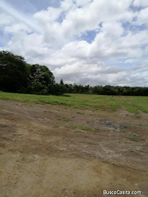 V#731 Finca en venta en Salitral de Bagaces, Guanacaste.