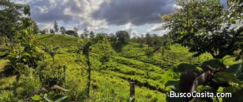 V#733 Finca en venta en Hojancha, Guanacaste
