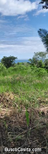 V#736 FINCA EN VENTA CON VISTA A PLAYA OSTIONAL.