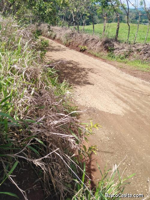 V#737 Finca en Venta en Hojancha, Guanacaste.