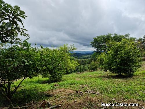  “OPORTUNIDAD VENTA ESPECIAL DE LOTES EN SAN MATEO, OROTINA, ALAJUELA, COSTA RICA”