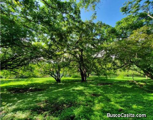 V#430 Lote en Venta en Bajamar  Puntarenas  