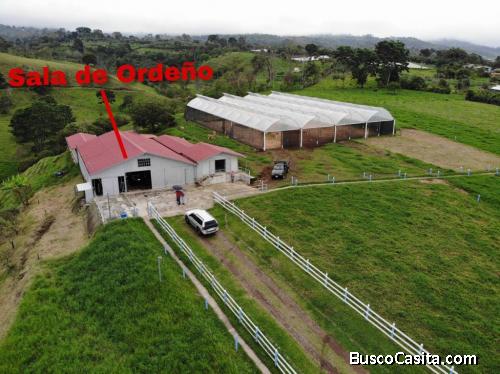 VENDO HERMOSA FINCA GANADERIA LECHERA COSTA RICA
