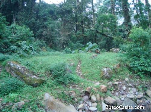 VENDO FINCA USO AGRÍCOLA Y GANADERO COSTA RICA