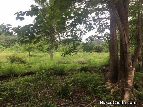 V#212 Maravillosas Fincas en VentaGuanacaste