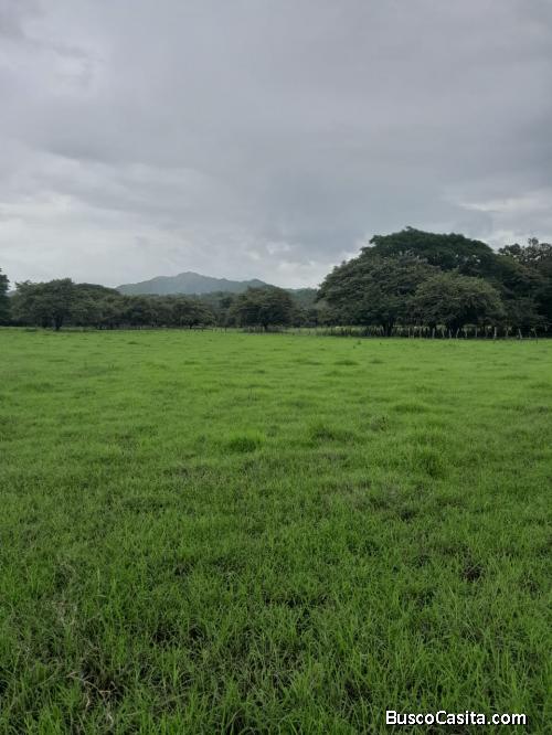 V#720  FINCA EN VENTA EN TEMPATE, GUANACASTE.