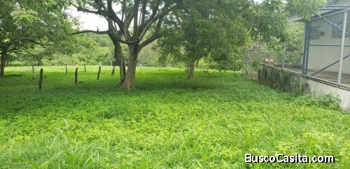 V#244 Céntrico Lote en Venta Guanacaste