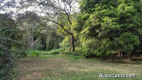 V#42 Amplia finca en ventaLas Juntas de Abangares