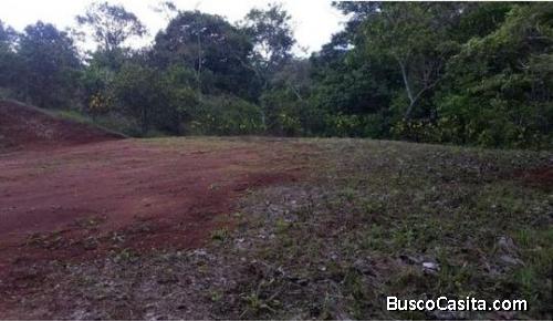 V#421 Còmodo Lote de Venta en GuanacasteNandayure 