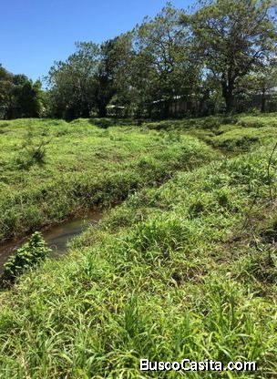V#415 Amplio Terreno de Venta en Guayabo ,Guanacaste