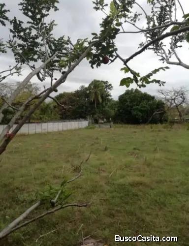 V#469 Gran Terreno en Venta en Filadelfia.