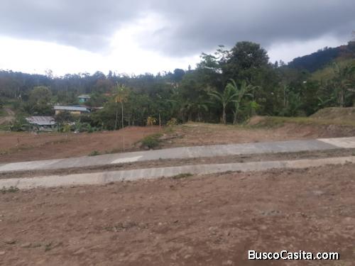 Lotes Turrialba Pavones desde 212 m²  hasta 266 m² en venta info 6378-2611