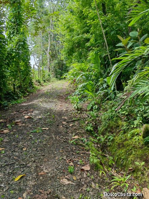Property in Costa Rica, 15283 m2!