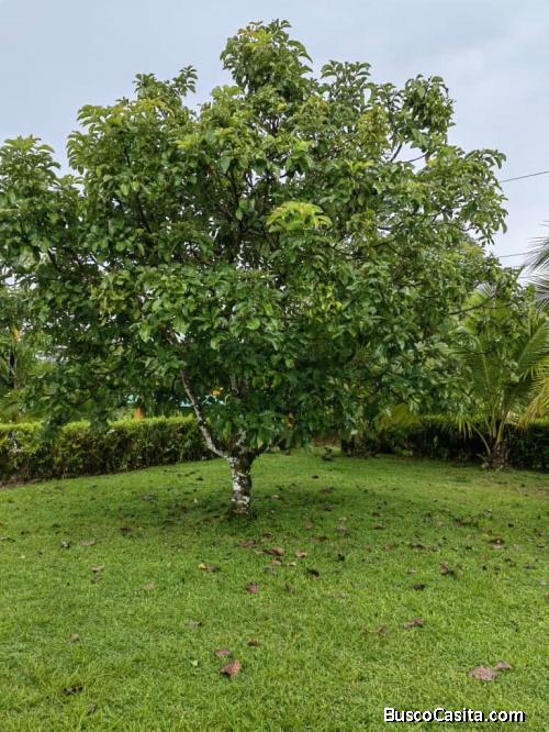 Awesome property in Costa Rica