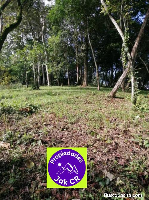 Finca en Tabarcia de Mora 3,5 hectáreas en venta info 6378-2611