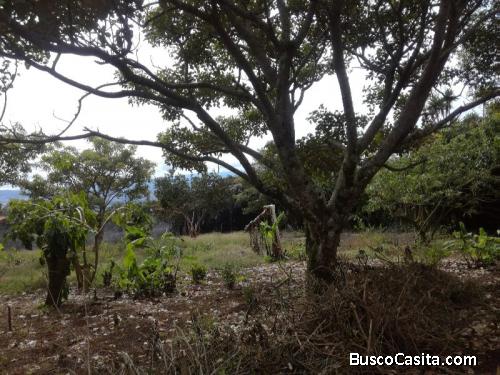 Hermoso terreno en Concepcion de San Rafael, 3,500 mtrs2