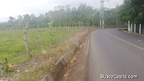 Lotes en La Fortuna