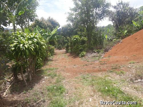 Se vende casa y cabaña en propiedad grande