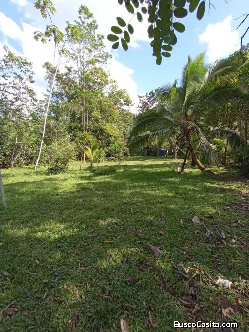 PROPIEDAD CON CASA EN GUACIMO
