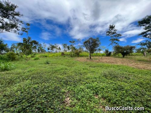 Se vende propiedad. Bajo los Rodriguez, San Ramon, Alajuela.