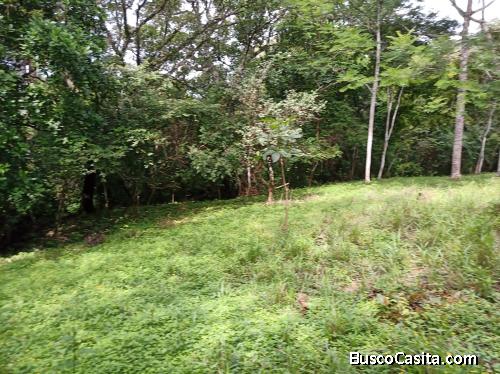Lote con orilla de río cerca de NICOYA