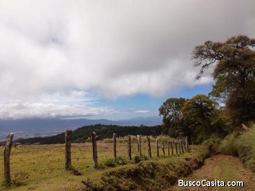 Finca en Concepcion de San Rafael, 88 hectareas