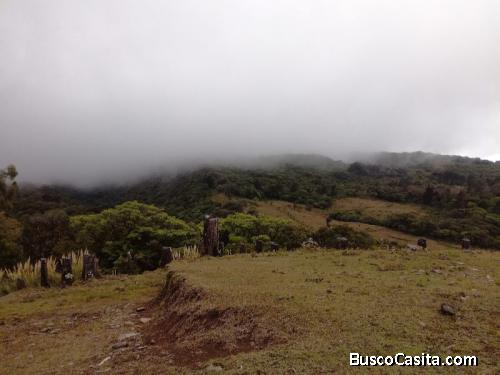 Finca para reforestar, Concepcion de San Rafael 88 hectareas