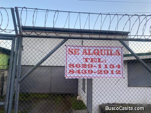 Alquiler de Bodega