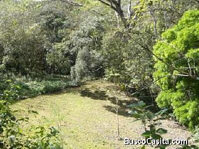 Terreno en Venta en La Palma, Piedras Negras, Mora, SJ