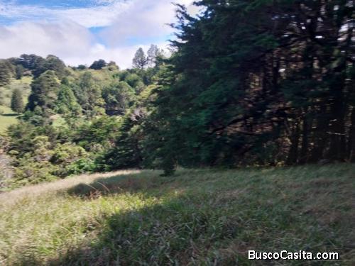 Finca en San Rafael de Heredia 3.6 hectareas