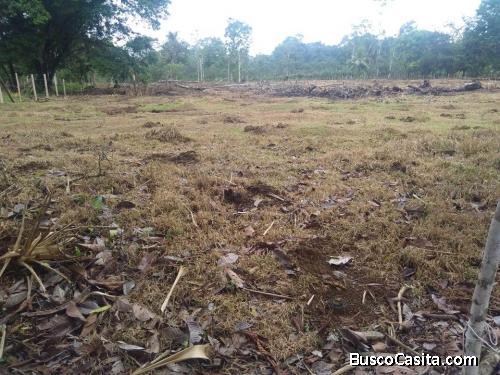 BELLA Y ÚTIL FINCA EN RÍO JIMÉNEZ DE GUÁCIMO, LIMÓN.