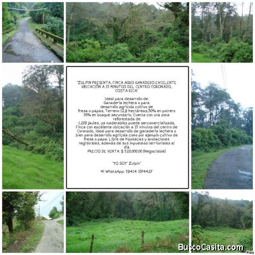 FINCA EN VENTA  AGR0 GANADERO COSTA RICA