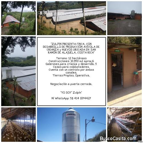 FINCA EN VENTA AVÍCOLA  COSTA RICA
