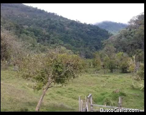 Se vende finca en Providencia de dota  CEL 62930478