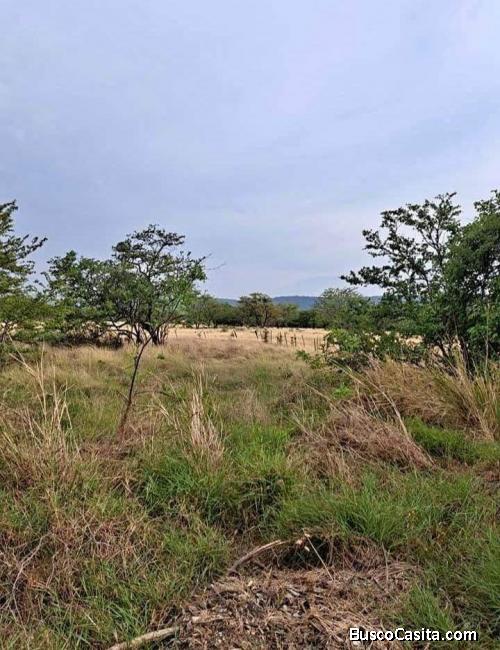 SE VENDE GRANDE Y BELLA PROPIEDAD EN BAGACES, LIBERIA, GTE.
